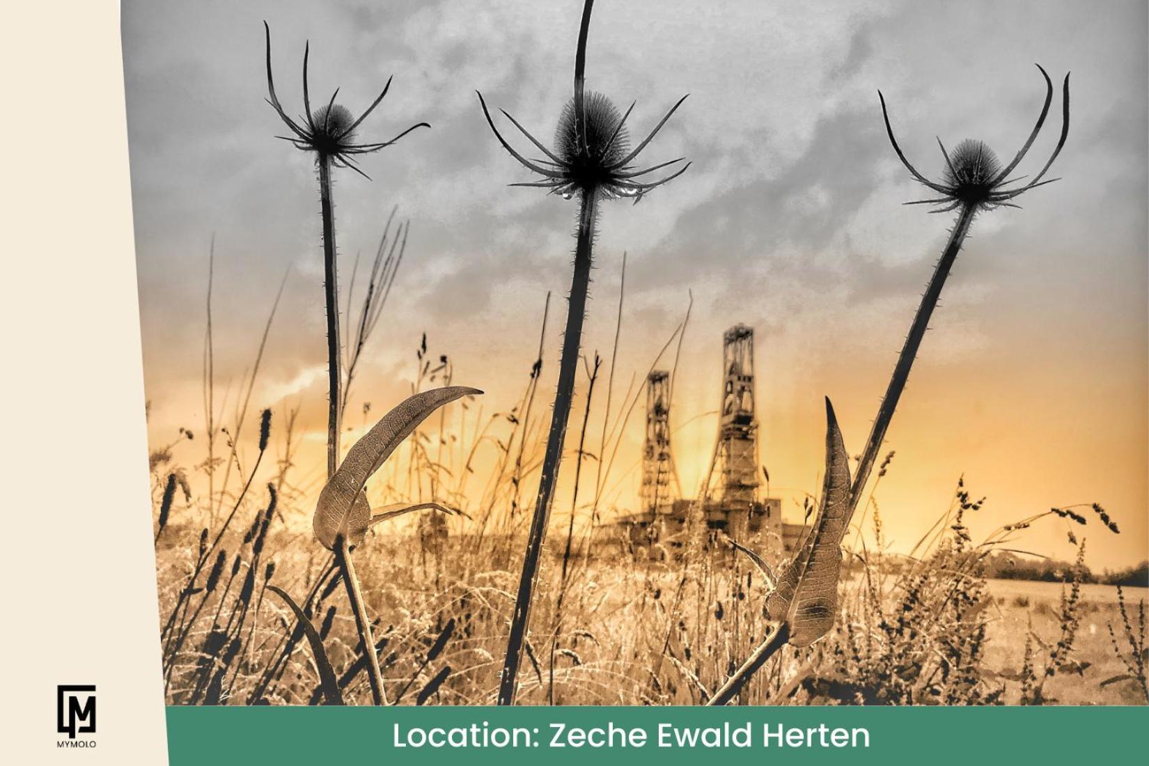 Glamping In Der Zeche Ewald Herten Herten  Εξωτερικό φωτογραφία